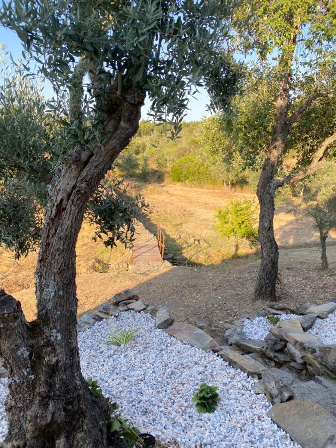 Monte Pedras - Avis