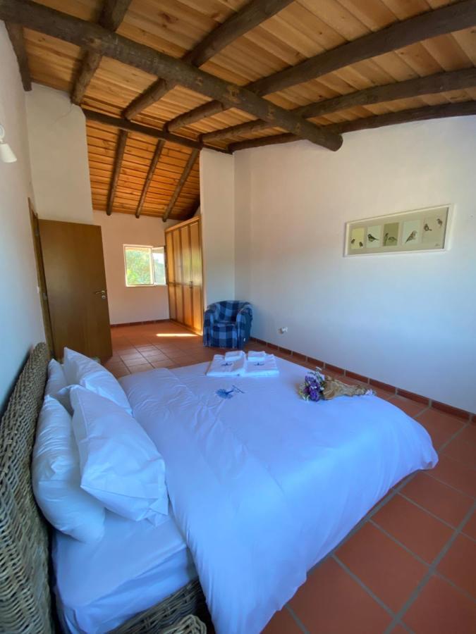 Monte Pedras -