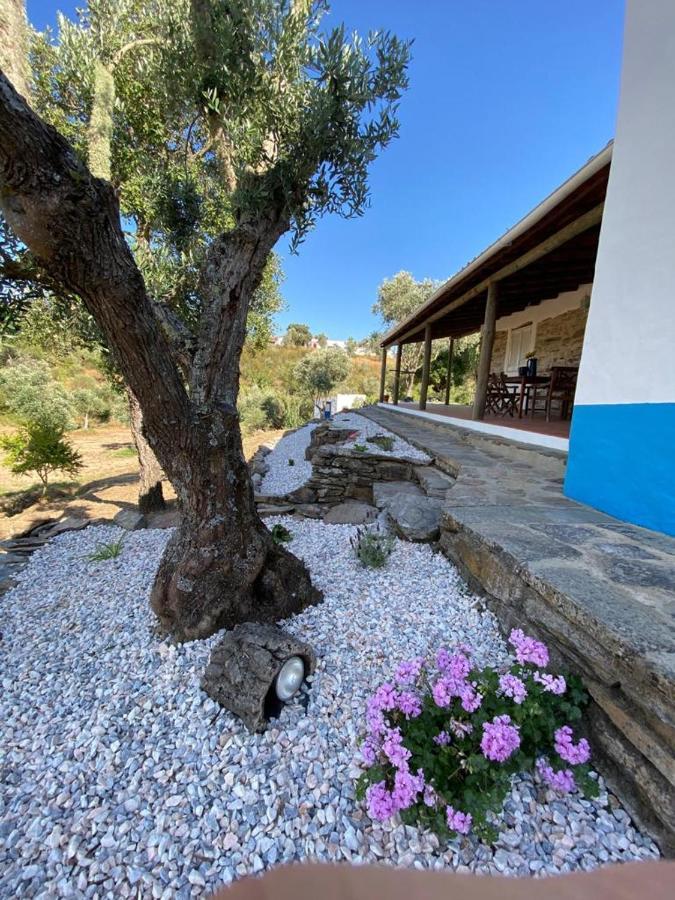 Monte Pedras - Avis